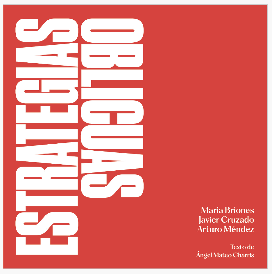 Catálogo Estrategias Oblicuas