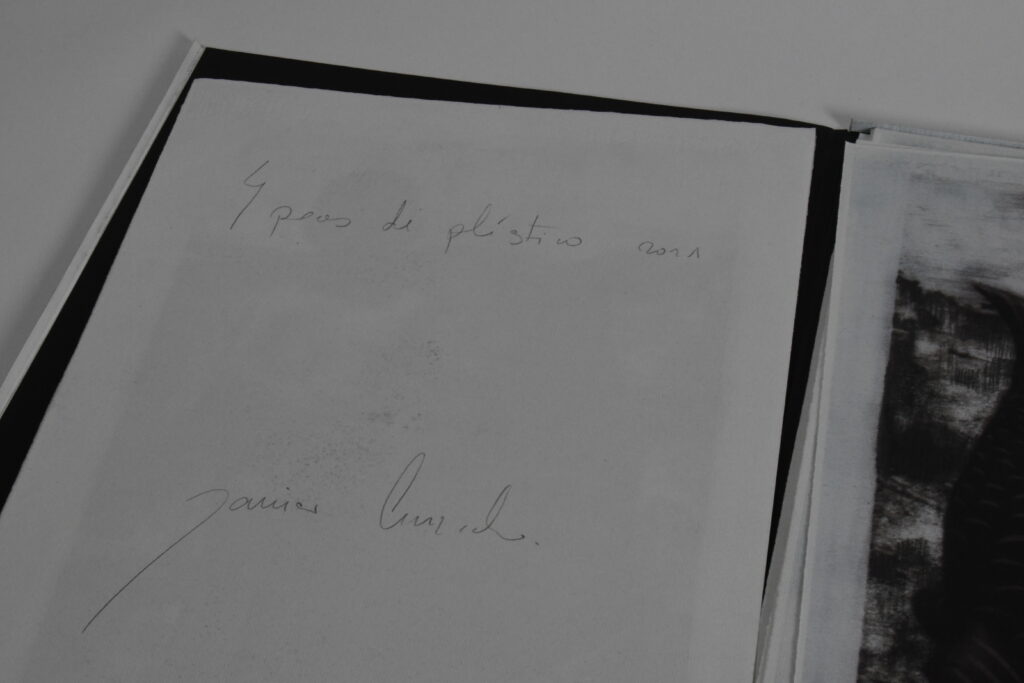 detalle obra peces de plástico