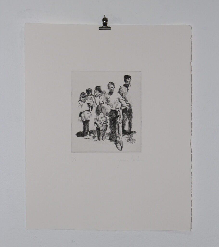 Álbum Familiar VIII